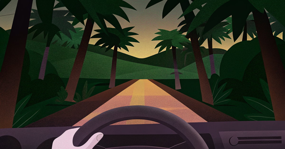 Visiter la Casamance par la route : le guide complet pour un road trip réussi en 2026