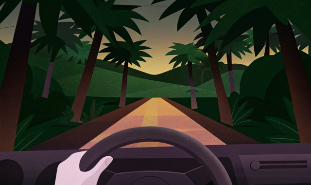 Visiter la Casamance par la route : le guide complet pour un road trip réussi en 2026