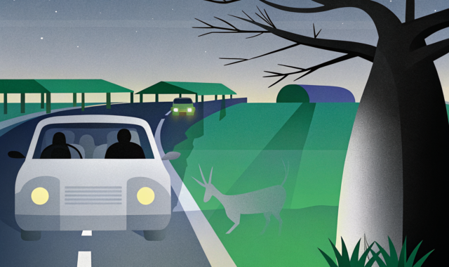 Conduire de nuit au Sénégal : pourquoi c’est déconseillé et quelles alternatives choisir en 2026
